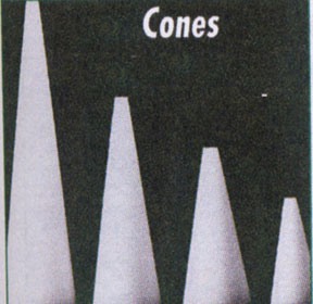 Styrofoam Cones 6″X2 7/8″ Base – Scribbles Crafts – Brooklyn's Premier  Crafting Resource